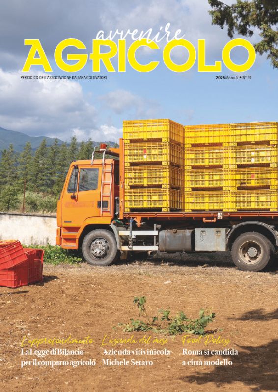 campo invernale neve inizio anno agricoltura AIC 2025